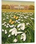 Snowdrop Day, Hatfield House, 1999 by Frances Broomfield