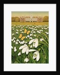 Snowdrop Day, Hatfield House, 1999 by Frances Broomfield