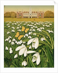 Snowdrop Day, Hatfield House, 1999 by Frances Broomfield