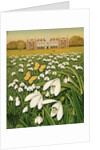 Snowdrop Day, Hatfield House, 1999 by Frances Broomfield