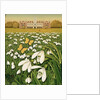 Snowdrop Day, Hatfield House, 1999 by Frances Broomfield