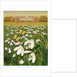 Snowdrop Day, Hatfield House, 1999 by Frances Broomfield