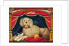 Old Mother Hubbard's Wonderful Dog, 1998 by Frances Broomfield