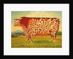 The Great Bull, 1998 by Frances Broomfield
