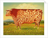 The Great Bull, 1998 by Frances Broomfield