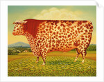 The Great Bull, 1998 by Frances Broomfield