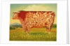 The Great Bull, 1998 by Frances Broomfield