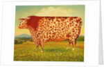 The Great Bull, 1998 by Frances Broomfield