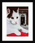 Wilberforce, the Number 10 Cat, 1987 by Frances Broomfield