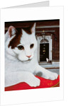 Wilberforce, the Number 10 Cat, 1987 by Frances Broomfield