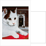 Wilberforce, the Number 10 Cat, 1987 by Frances Broomfield