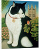 Humphrey, the Downing Street Cat, 1995 by Frances Broomfield