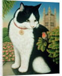 Humphrey, the Downing Street Cat, 1995 by Frances Broomfield