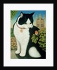 Humphrey, the Downing Street Cat, 1995 by Frances Broomfield