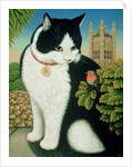 Humphrey, the Downing Street Cat, 1995 by Frances Broomfield