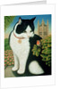 Humphrey, the Downing Street Cat, 1995 by Frances Broomfield