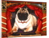 Nabokov's Pug, 2006 by Frances Broomfield