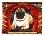 Nabokov's Pug, 2006 by Frances Broomfield