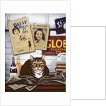 Beerbohm, the theatre cat by Frances Broomfield