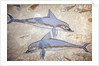 Minoan art. The Dolphin Fresco by Minoan Minoan
