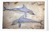Minoan art. The Dolphin Fresco by Minoan Minoan