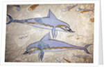Minoan art. The Dolphin Fresco by Minoan Minoan