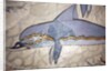 The Dolphin Fresco by Minoan Minoan