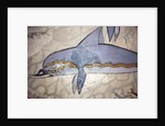 The Dolphin Fresco by Minoan Minoan