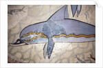 The Dolphin Fresco by Minoan Minoan