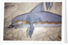 The Dolphin Fresco by Minoan Minoan