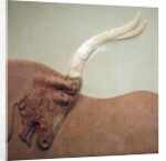 Fragment of plaster relief fresco showing a hunted bull by Minoan Minoan