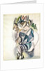Seated woman, 1917 by Jules Pascin