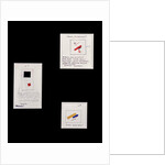 Project for Suprematist Brooch Nos. 1, 2 and 3, c.1916-20 by Kazimir Severinovich Malevich
