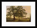 The Charter Oak at Hartford, c.1846 by Frederic Edwin Church