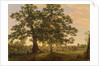 The Charter Oak at Hartford, c.1846 by Frederic Edwin Church