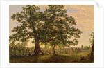 The Charter Oak at Hartford, c.1846 by Frederic Edwin Church