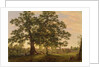 The Charter Oak at Hartford, c.1846 by Frederic Edwin Church