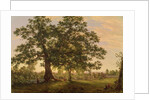 The Charter Oak at Hartford, c.1846 by Frederic Edwin Church