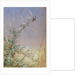 Wild Roses Among Rye, 1874 by Fidelia Bridges