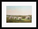 Apple Orchard, 1878 by Nelson Augustus Moore
