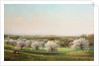 Apple Orchard, 1878 by Nelson Augustus Moore