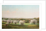 Apple Orchard, 1878 by Nelson Augustus Moore