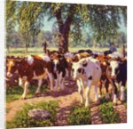 Along the Road by Edward Charles Volkert