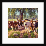 Along the Road by Edward Charles Volkert