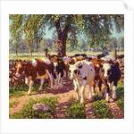 Along the Road by Edward Charles Volkert