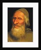 Head of an Old Man, c.1525 by Quentin Massys or Matsys