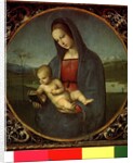 The Madonna Conestabile, 1502/03 by Raphael
