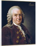Portrait of Carl von Linne, 1775 by Alexander Roslin