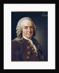 Portrait of Carl von Linne, 1775 by Alexander Roslin