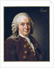Portrait of Carl von Linne, 1775 by Alexander Roslin